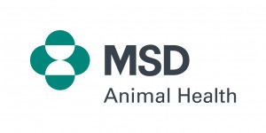 MSD  logo www.msd.hr
